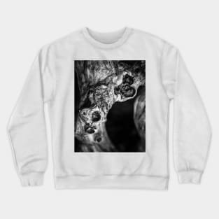 Driftwood Crewneck Sweatshirt